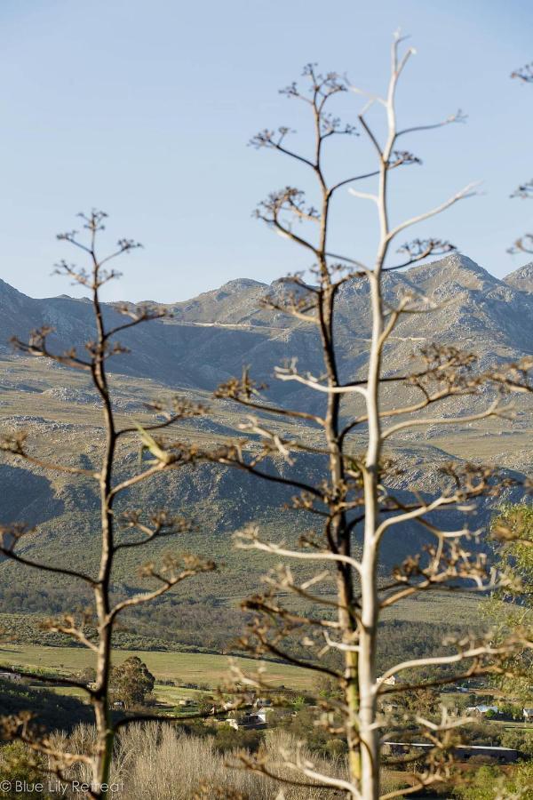 Blue Lily Retreat Bed & Breakfast Matjiesrivier  Exterior photo